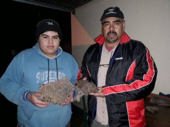 Hallazgo paleontológico  Crédito foto: Código Abierto Metán