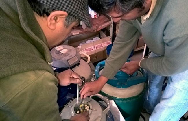 Las tareas de transferencia comenzarían en los primeros días de agosto