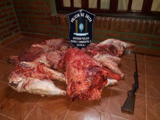 Carne porcina decomisada