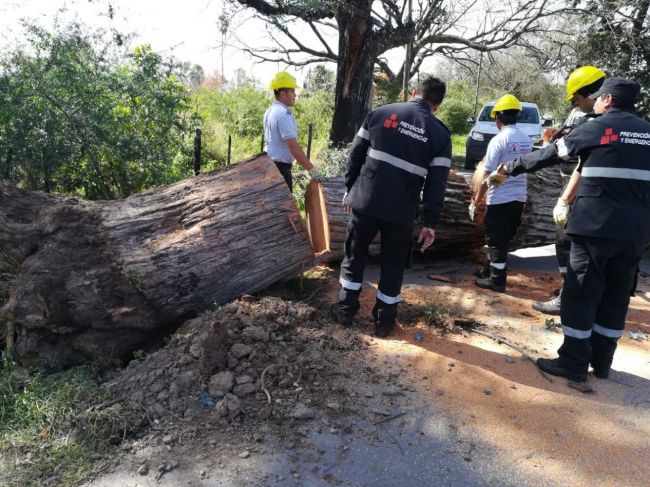 Balance del temporal de viento