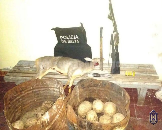 Material secuestrado