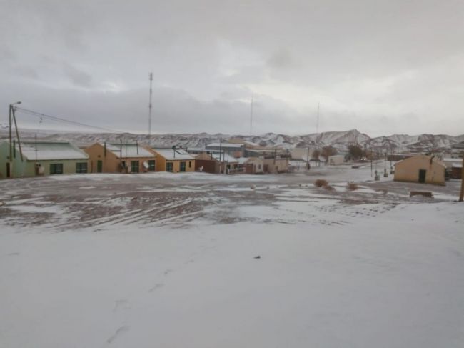 Nieve en la puna Crédito foto: Vicente Arias