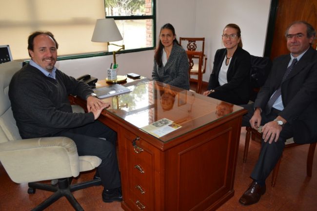 Colaboración con Europa