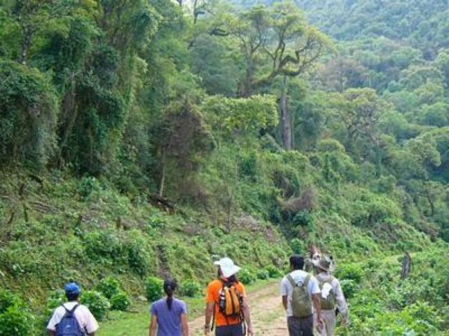 Parque Nacional Baritú