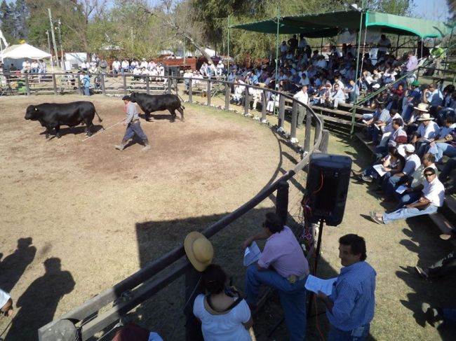 Expo Rural