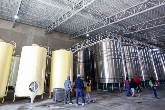 La Bodega del Viento