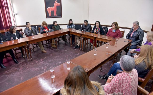 Presentación de la ordenanza