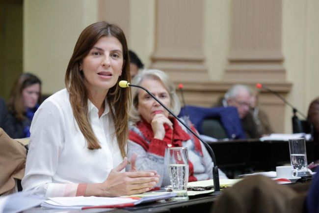 Diputada Bettina Romero