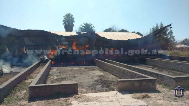 Voraz incendio en Cerrillos