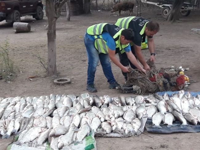 secuestro de peces