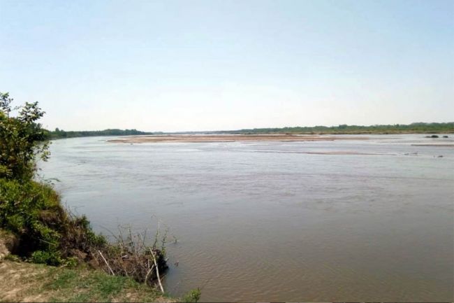 Mortandad de peces en el Río Bermejo