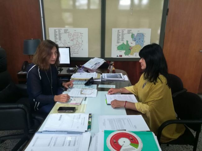 Planificación sanitaria