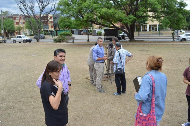 Plantación de árboles