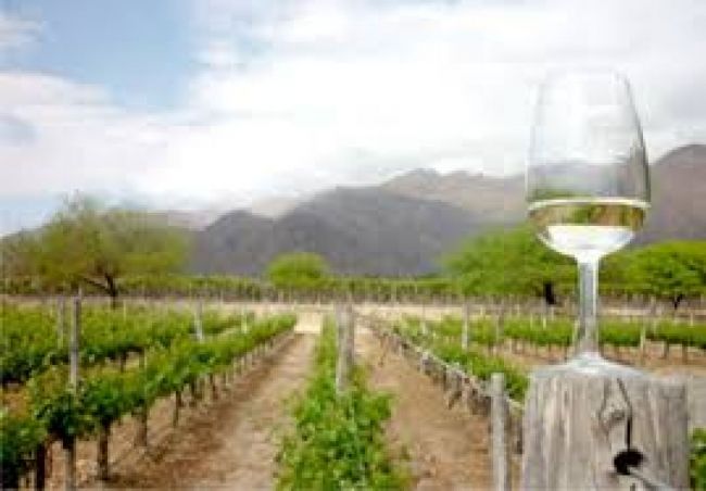 Salta y sus vinos en la Semana del Torrontés