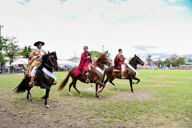 Concurso de caballos peruano de paso