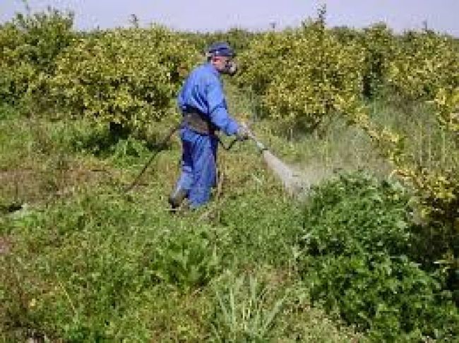 Herbicidas peligrosos