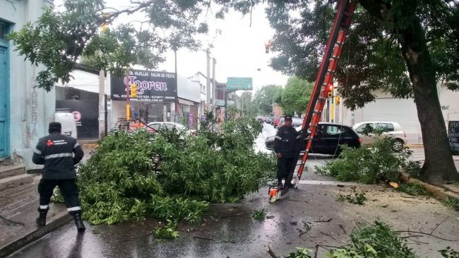 Consecuencias del temporal