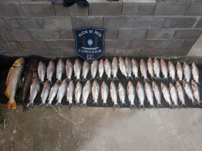 Depredación ictícola