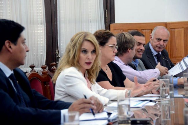 Bibini con diputados y senadores