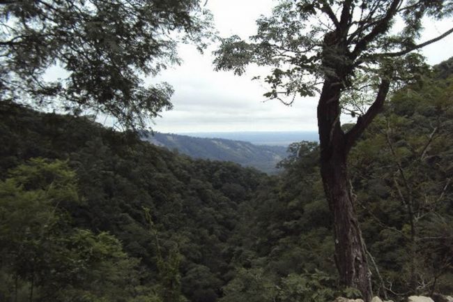 Preservación del medio ambiente