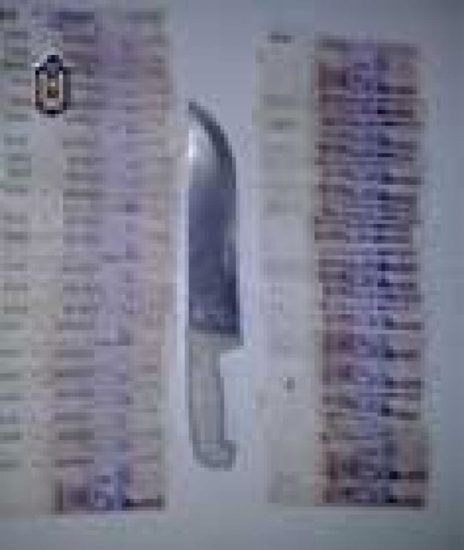 Elementos requisados