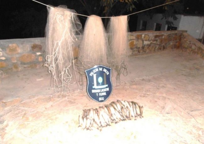 El objeto del delito