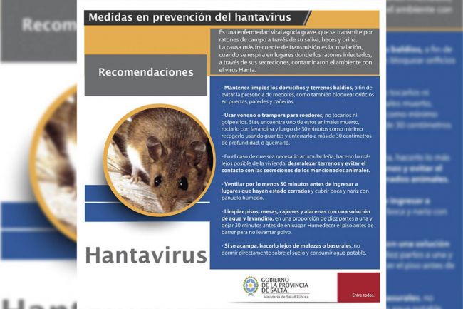 Prevención de hantavirus