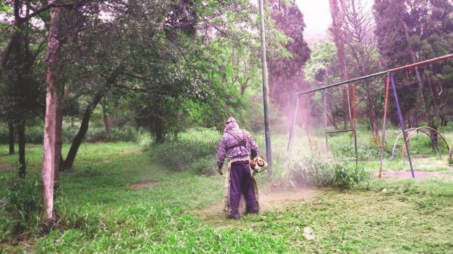 Tareas de desmalezamiento