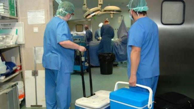 Ablación de órganos