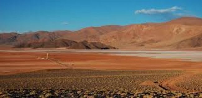 Extraerán litio en la Puna
