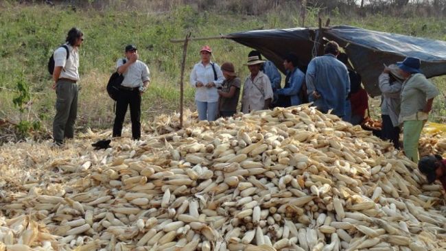 La ley debe beneficiar a todos, expresó Godoy