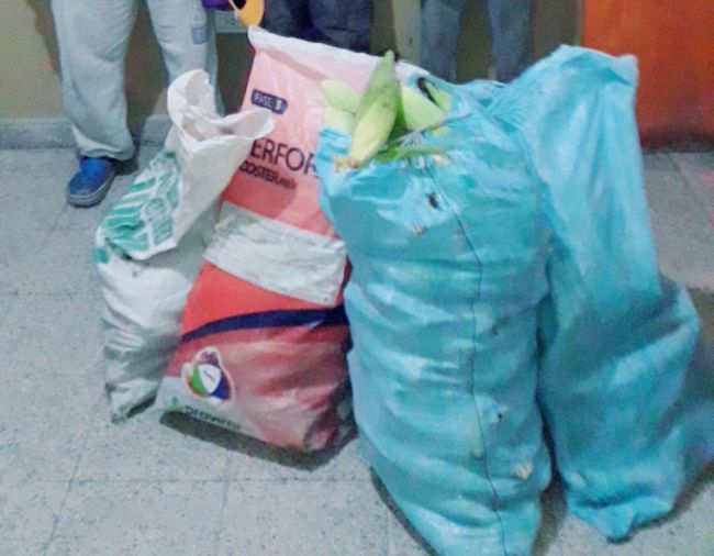 Atrapados con las manos en la masa