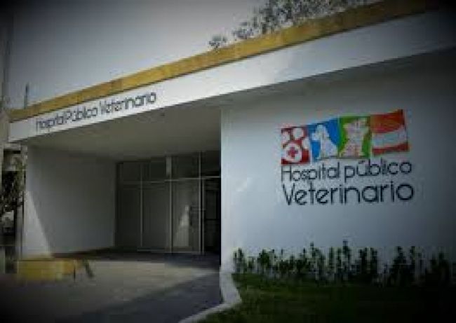 Impulsan un hospital público veterinario