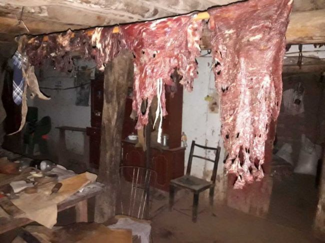 Ganado robado y faenado