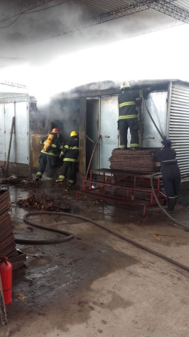 Susto en la estufa de tabaco