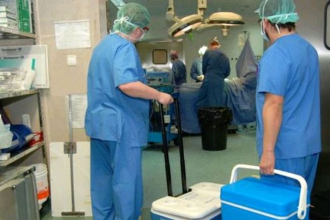 Operativo de ablación