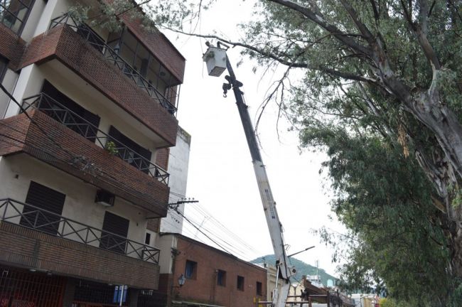 Operativo de extracción