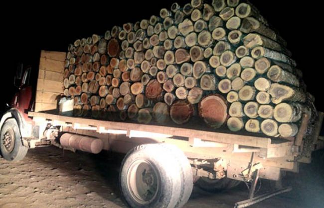 Operativo en ruta nacional 86