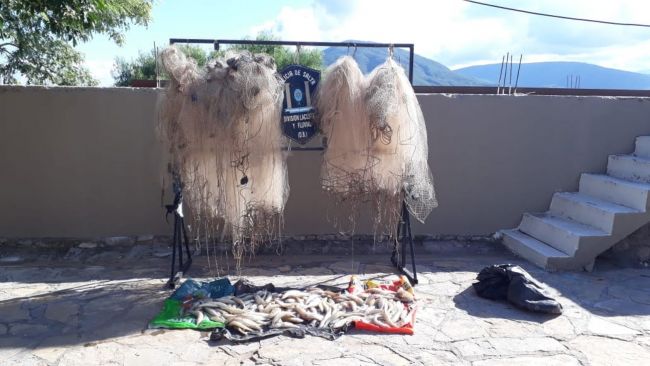 Redes y ejemplares de pejerrey