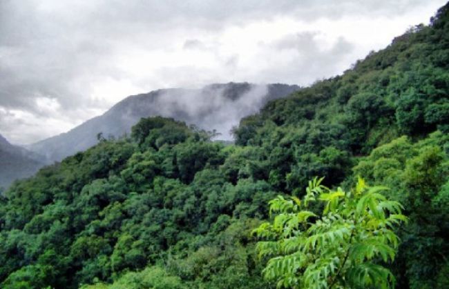 Lucha contra la caza furtiva en las yungas