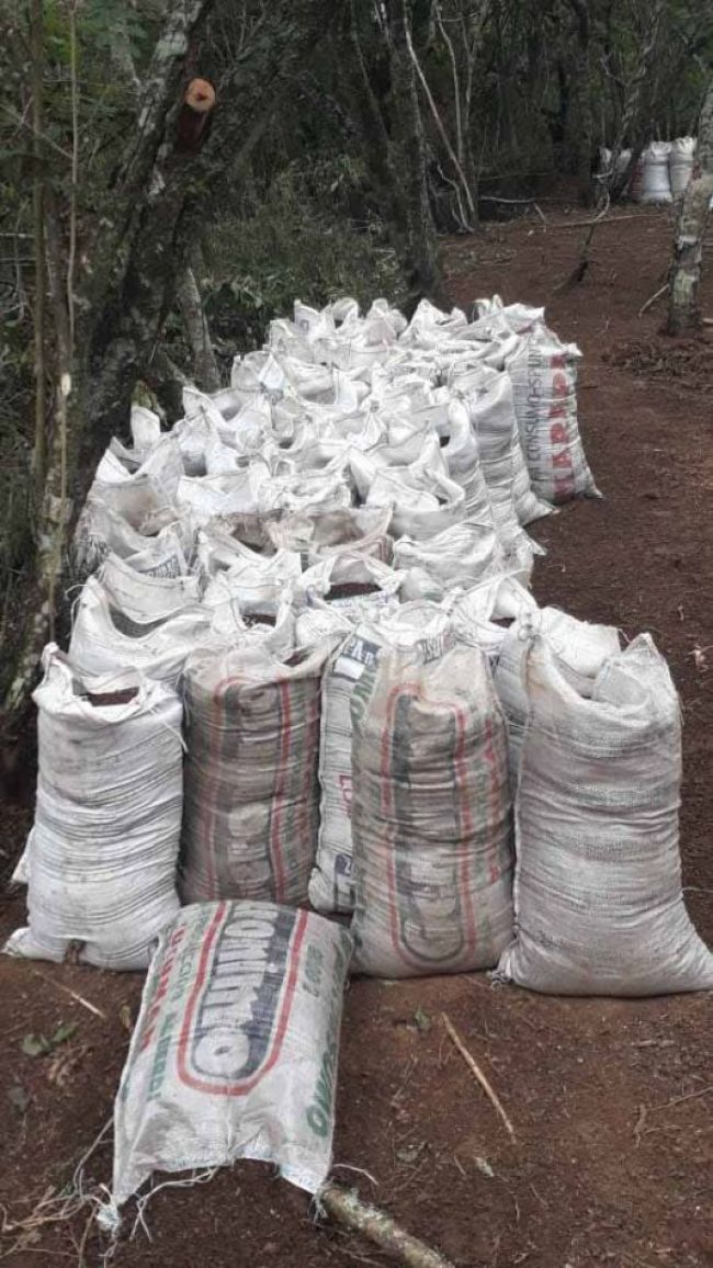 Depredadores de la naturaleza