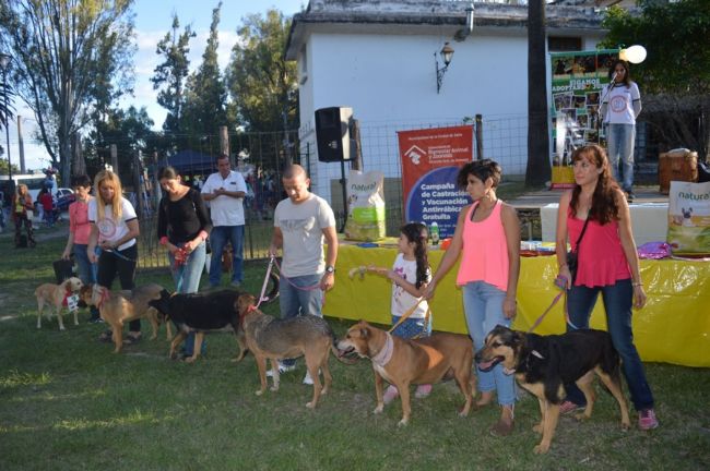 Celebrarán el día del animal