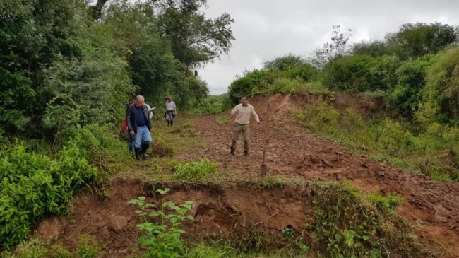 Inspección judicial