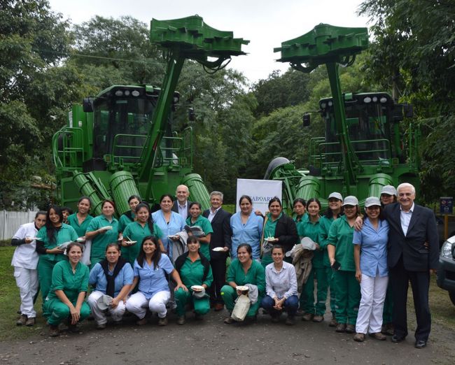 Zafra número 100 en Tabacal