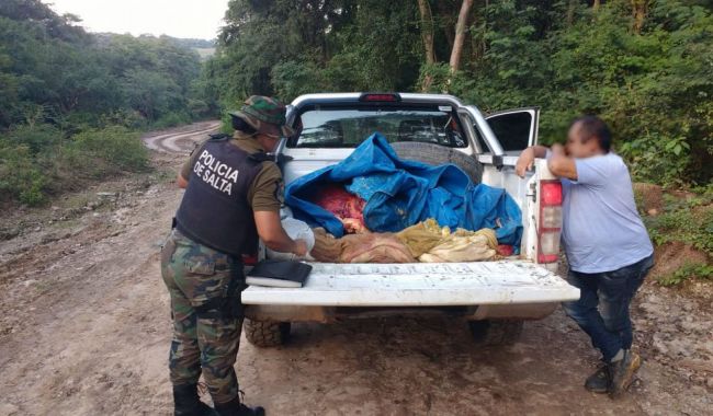 Lucha contra el abigeato