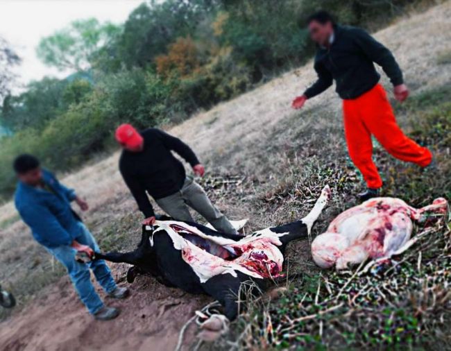 Atrapados In fraganti