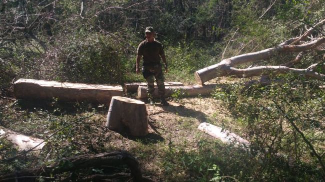 Procedimiento en Acambuco