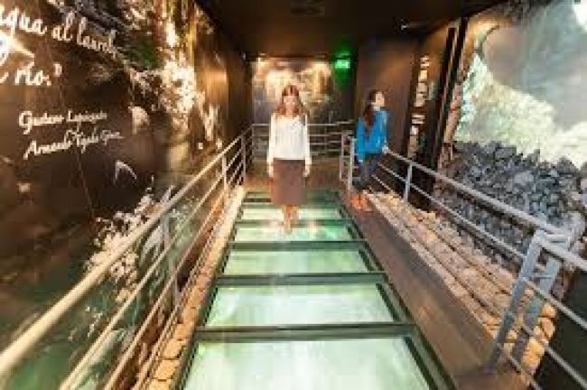 Museo de la Vid y el vino en Cafayate