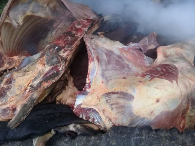 La carne secuestrada