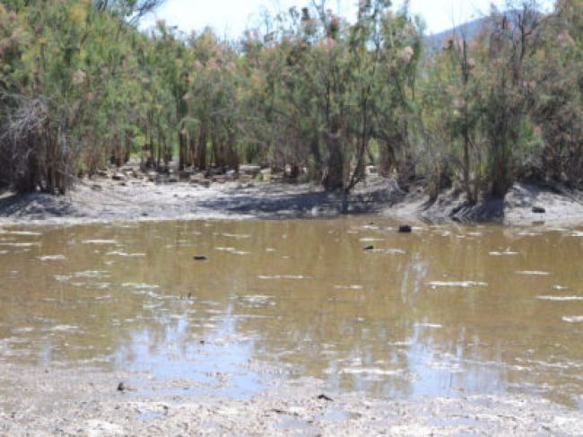 La zona del hallazgo